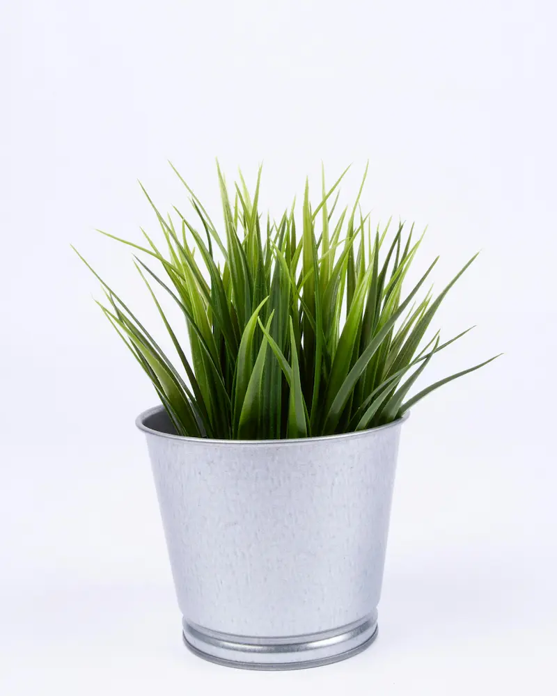 ¿Tu dinero esta durmiendo o trabajando ?