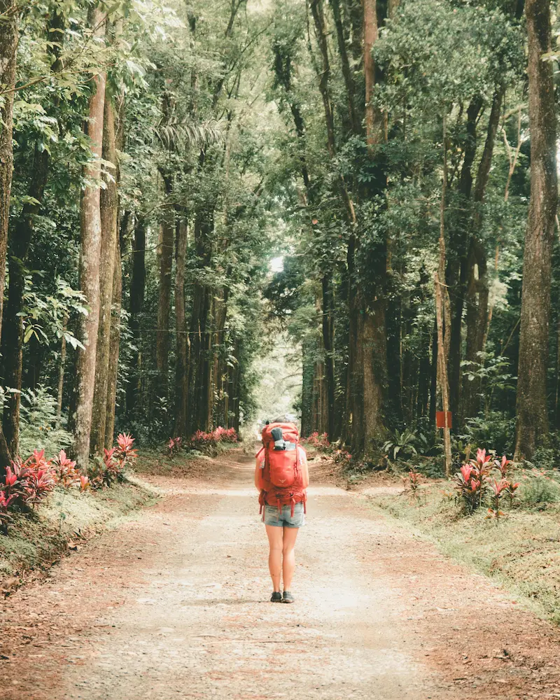 Mi limpieza de equipaje, lo que se va y lo que llega.